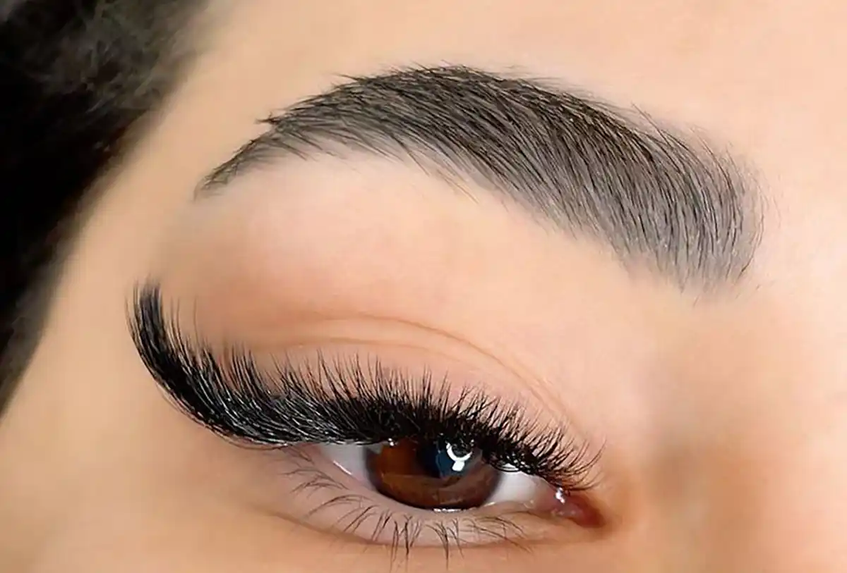 مژه والیوم گربه ای
مدل مژه اسپایکی گربه ای
مژه کلاسیک گربه ای
مدل مژه عروسکی
مدل مژه گربه ای کشیده
مدل مژه روباهی
مدل مژه کلاسیک
مژه والیوم عروسکی