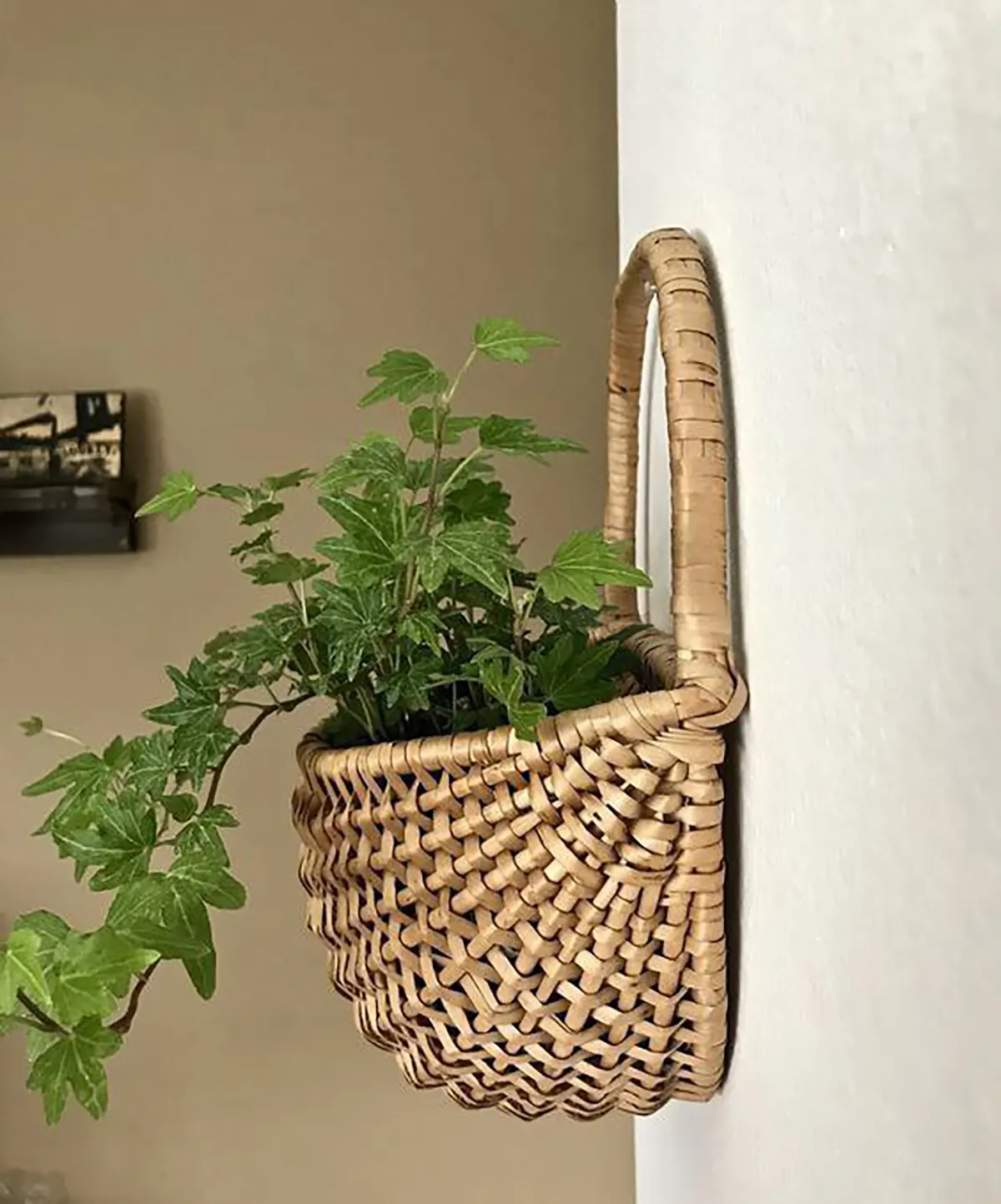 گلدان دیواری حصیری