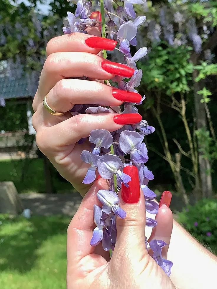 ناخن کاشت ژلی قرمز کنار گل یاس بنفش
