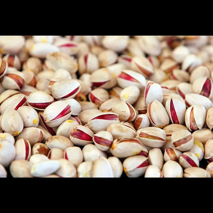 پوسته باز و مغز سبز پسته در چکلیست خرید